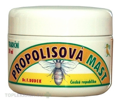 DR.F. DUDEK TRADIČNÁ PROPOLISOVÁ MASŤ