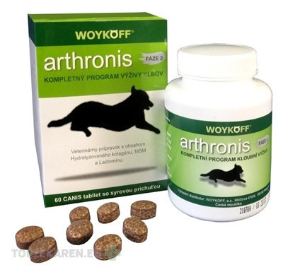 arthronis FÁZA 2