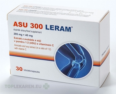 ASU 300 LERAM