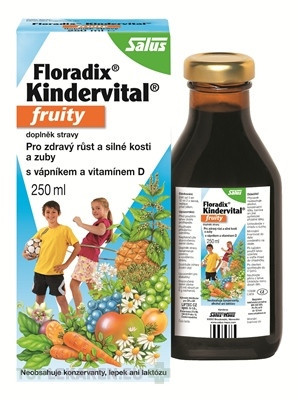 SALUS Floradix Kindervital fruity