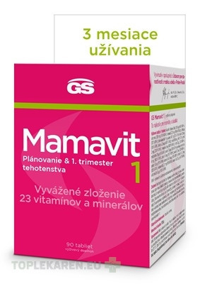 GS Mamavit 1, Plánovanie a 1. trimester