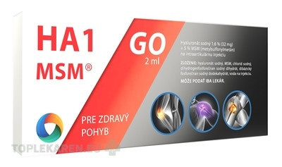 HA1 MSM GO