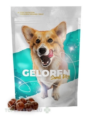 Geloren Small Dog