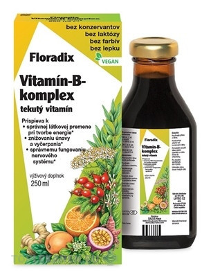 SALUS Floradix Vitamín-B-komplex