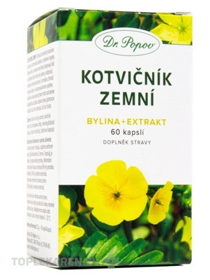 Dr. Popov KOTVIČNÍK ZEMNÝ