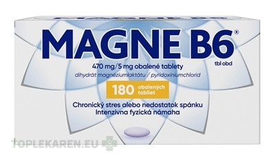 MAGNE B6