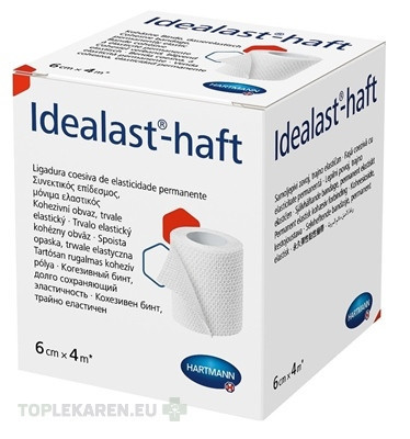 Idealast-haft