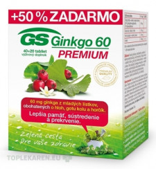 GS Ginkgo 60 PREMIUM