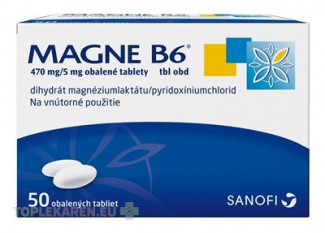 MAGNE-B6