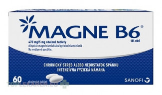 MAGNE-B6