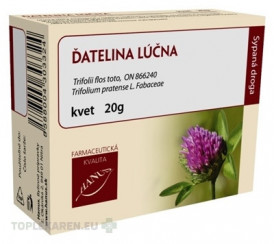 HANUS ĎATELINA LÚČNA KVET
