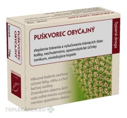HANUS PUŠKVOREC OBYČAJNY KOREŇ