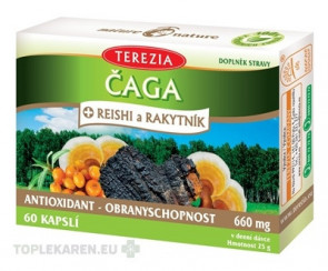 TEREZIA ČAGA + REISHI a RAKYTNÍK