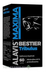 ALAVIS MAXIMA BESTIER Tribulus