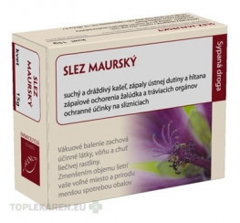 HANUS SLEZ MAURSKÝ KVET