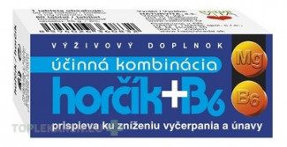 NATURVITA HORČÍK + B6