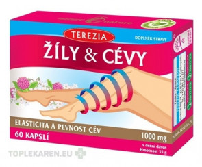 TEREZIA ŽILY & CIEVY