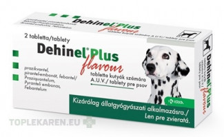 DEHINEL PLUS FLAVOUR