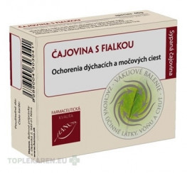HANUS ČAJOVINA S FIALKOU