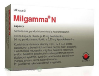 Milgamma N