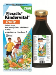 SALUS Floradix Kindervital fruity