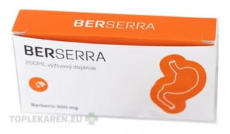BERSERRA