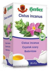 HERBEX CISTUS incanus