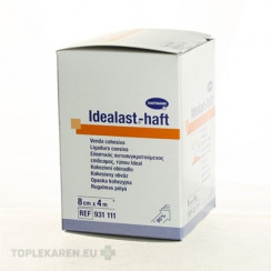 Idealast-haft