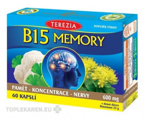 TEREZIA B15 MEMORY