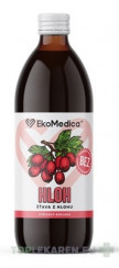 EkoMedica SK HLOH