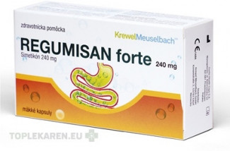 REGUMISAN forte 240 mg