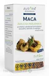 AVROPA MACA