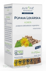 AVROPA PÚPAVA LEKÁRSKA koreň