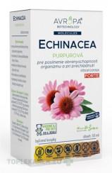 AVROPA Echinacea purpurová