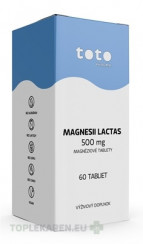 TOTO MAGNESII LACTAS 500 mg