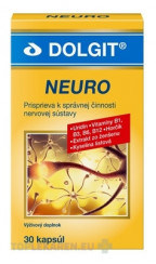 DOLGIT NEURO