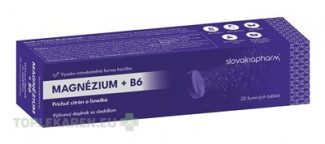 Slovakiapharm Magnézium + B6