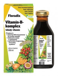 SALUS Floradix Vitamín-B-komplex