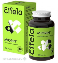 Eifela MIORIN