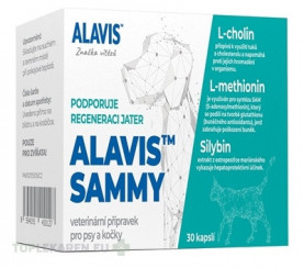ALAVIS SAMMY