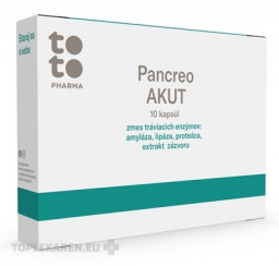 TOTO Pancreo AKUT