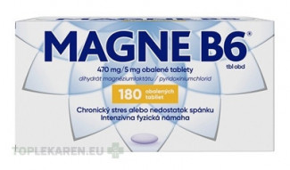 MAGNE B6