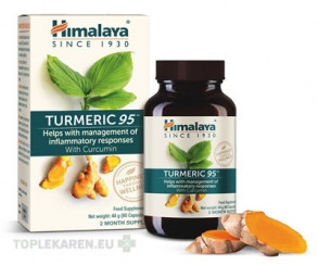 Himalaya TURMERIC 95