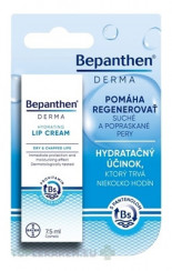 Bepanthen DERMA HYDRATING LIP CREAM