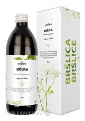 nefdesanté BRŠLICA