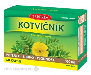 TEREZIA KOTVIČNÍK