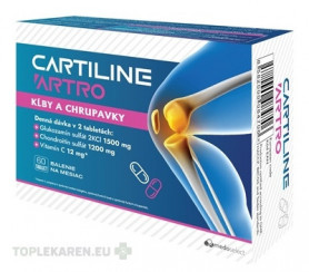 CARTILINE ARTRO
